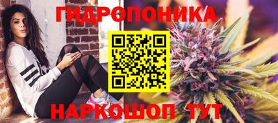 дживик Гатчина