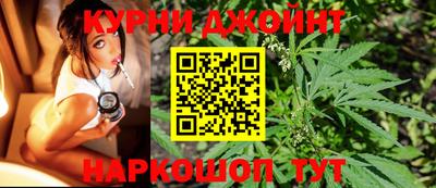 дживик Гатчина
