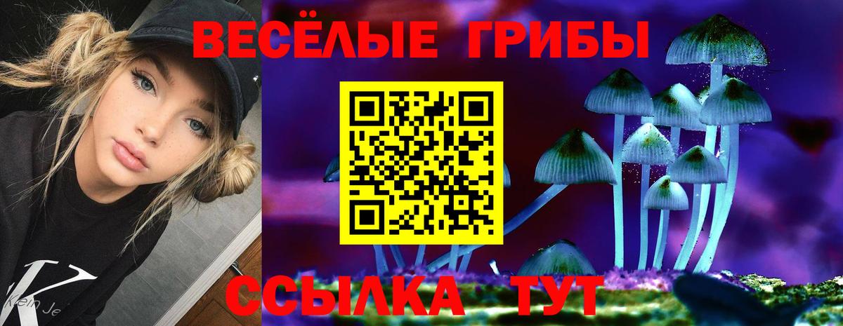 Малоярославец  Галлюциногенные грибы Psilocybe  Псилоцибиновые грибы ЛСД  Вход с VPN 